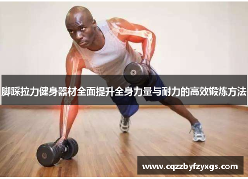 脚踩拉力健身器材全面提升全身力量与耐力的高效锻炼方法