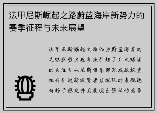 法甲尼斯崛起之路蔚蓝海岸新势力的赛季征程与未来展望