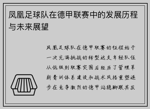 凤凰足球队在德甲联赛中的发展历程与未来展望